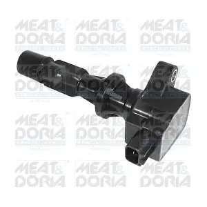 10575 MEAT & DORIA