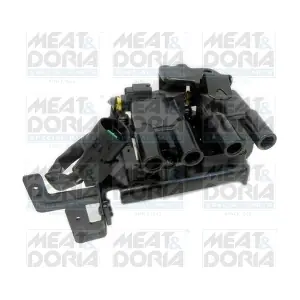10716 MEAT & DORIA