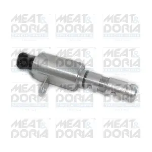 91544 MEAT & DORIA