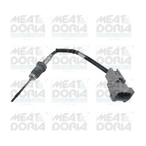 12457 MEAT & DORIA