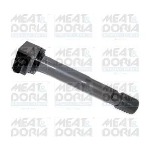 10787 MEAT & DORIA