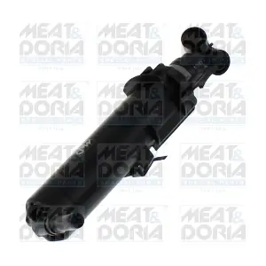 209125 MEAT & DORIA