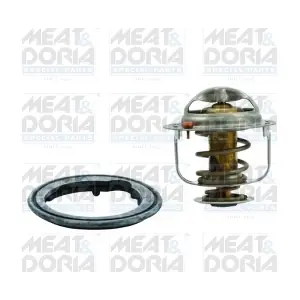 92410 MEAT & DORIA