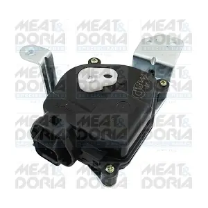 31483 MEAT & DORIA