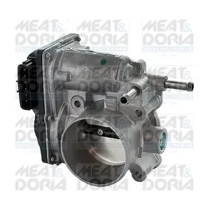 89336 MEAT & DORIA