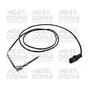 12076 MEAT & DORIA