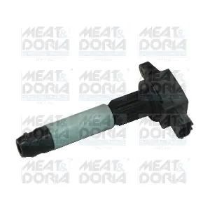 10406 MEAT & DORIA