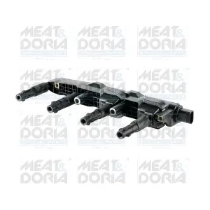 10399 MEAT & DORIA