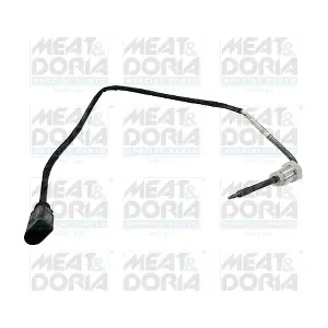 119381 MEAT & DORIA