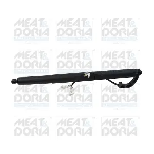 301074 MEAT & DORIA