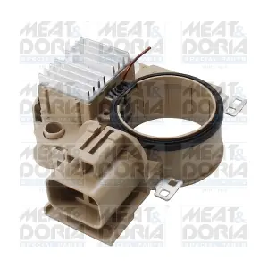 52025 MEAT & DORIA