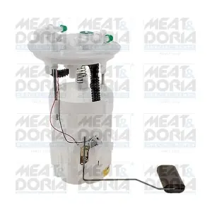 79308 MEAT & DORIA