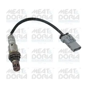 81969 MEAT & DORIA