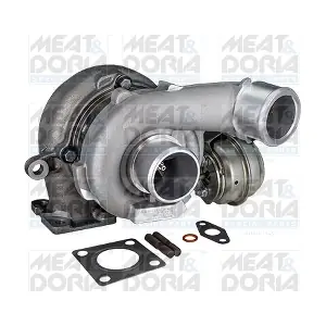 65020 MEAT & DORIA