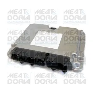 70105 MEAT & DORIA