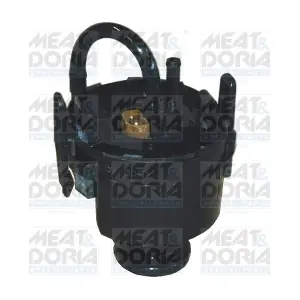 76437 MEAT & DORIA