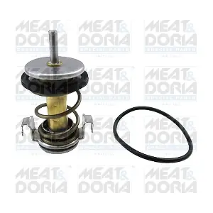 92923 MEAT & DORIA