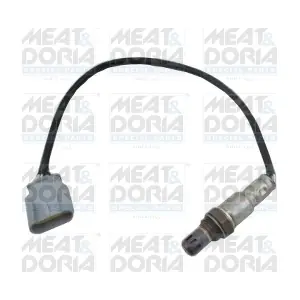 81971 MEAT & DORIA