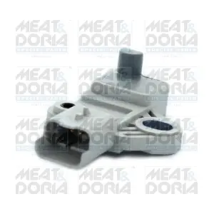 87456 MEAT & DORIA
