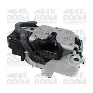 31422 MEAT & DORIA