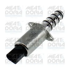 915008 MEAT & DORIA
