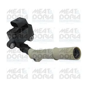 10802 MEAT & DORIA
