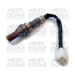 81860 MEAT & DORIA