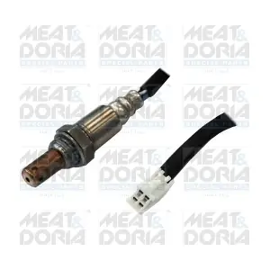 81764 MEAT & DORIA