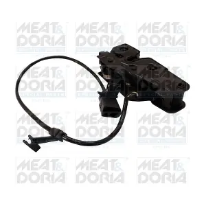 31655 MEAT & DORIA