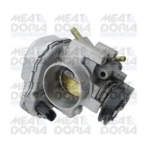 89036 MEAT & DORIA