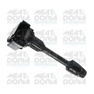 10516 MEAT & DORIA