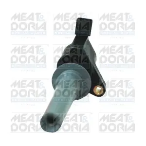 MEAT & DORIA 10677