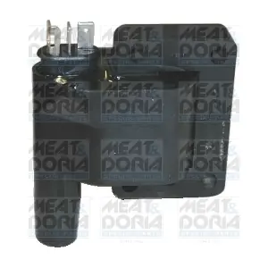 10428 MEAT & DORIA