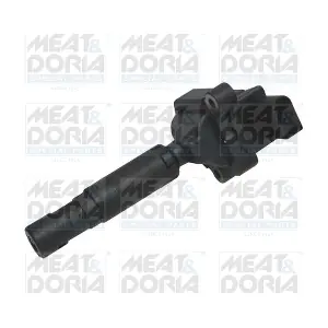 10661 MEAT & DORIA