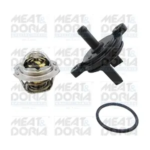 92903 MEAT & DORIA