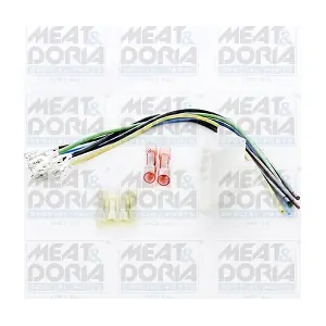 25010 MEAT & DORIA