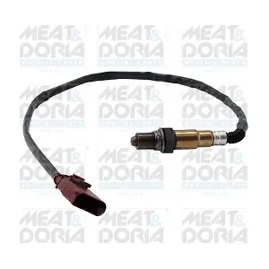 811042 MEAT & DORIA