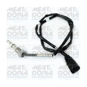 12063 MEAT & DORIA