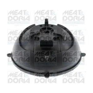 38504 MEAT & DORIA