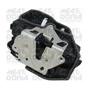 31252 MEAT & DORIA