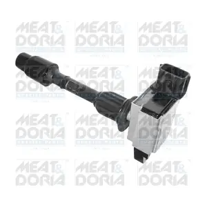 10577 MEAT & DORIA