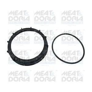 MEAT & DORIA GSK12