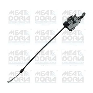 31556 MEAT & DORIA