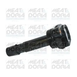 MEAT & DORIA 10711