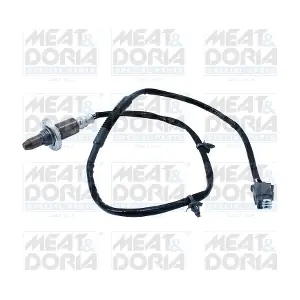 811044 MEAT & DORIA