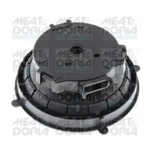 38566 MEAT & DORIA