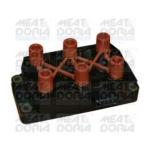 10346 MEAT & DORIA