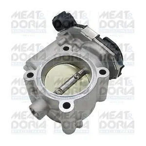 89556 MEAT & DORIA