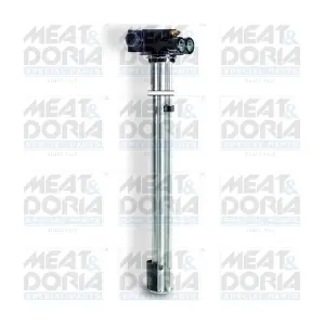 79261 MEAT & DORIA