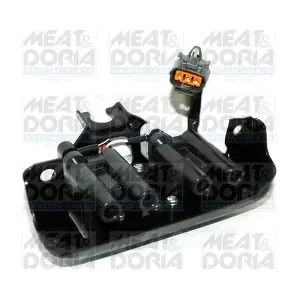 10611 MEAT & DORIA